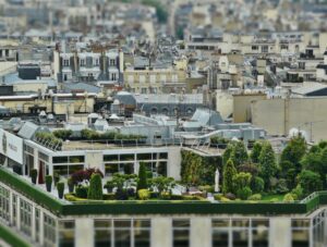 flat city roof